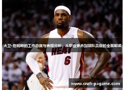 大卫·詹姆斯的工作态度与表现分析：从职业素养到团队贡献的全面解读
