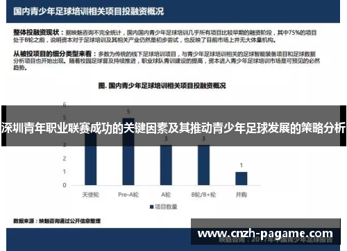 深圳青年职业联赛成功的关键因素及其推动青少年足球发展的策略分析