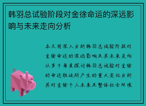 韩羽总试验阶段对金徐命运的深远影响与未来走向分析