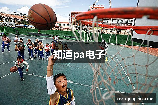 知道pa电子